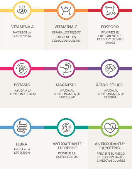 nutrientes_450x575px
